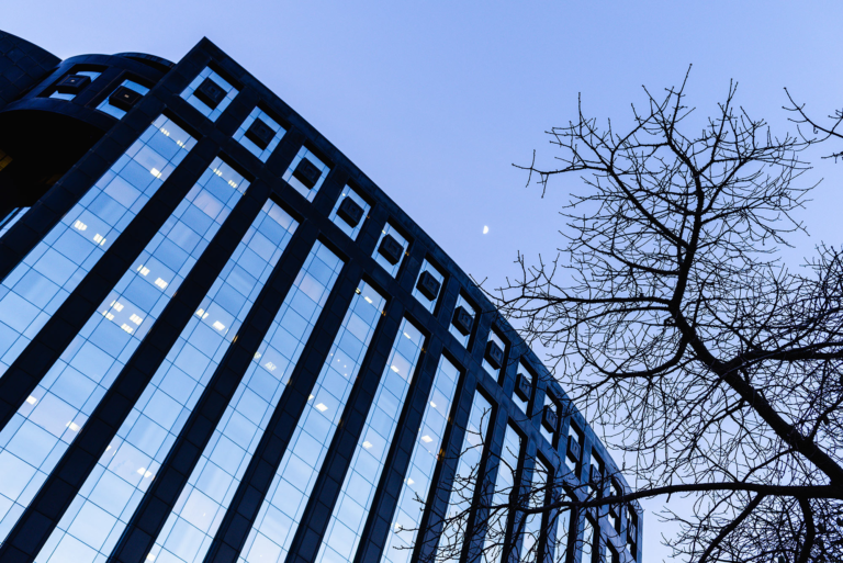 modern-office-building-with-tree-branches-framing-2023-11-27-04-49-18-utc-1